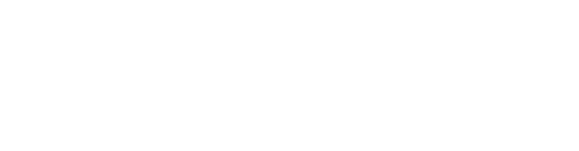 light logo